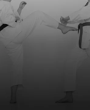 ALEVIN MASCULINO - G2